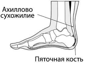 Иллюстрация к книге — Здоровье через стопы  [i_052.jpg]