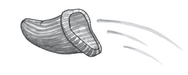 Иллюстрация к книге — Печенье счастья  [i_040.jpg]