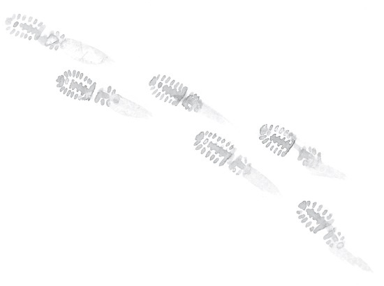 Иллюстрация к книге — Печенье счастья  [i_047.jpg]