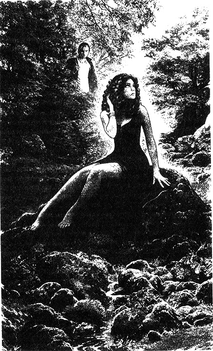 Иллюстрация к книге — Атрионка. Сердце хамелеона [i_001.jpg]