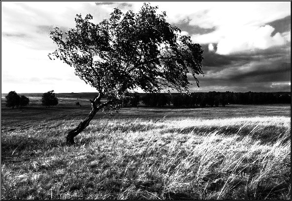 Иллюстрация к книге — Твоя Шамбала [i_001.jpg]