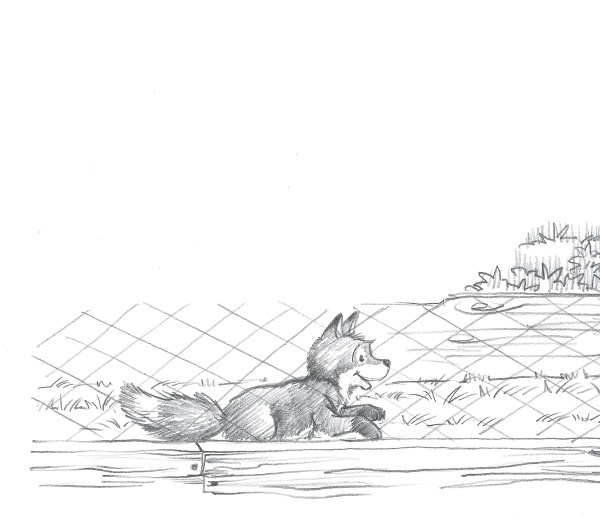 Иллюстрация к книге — Лисичка Тыковка, или Лунный камень [i_005.jpg]