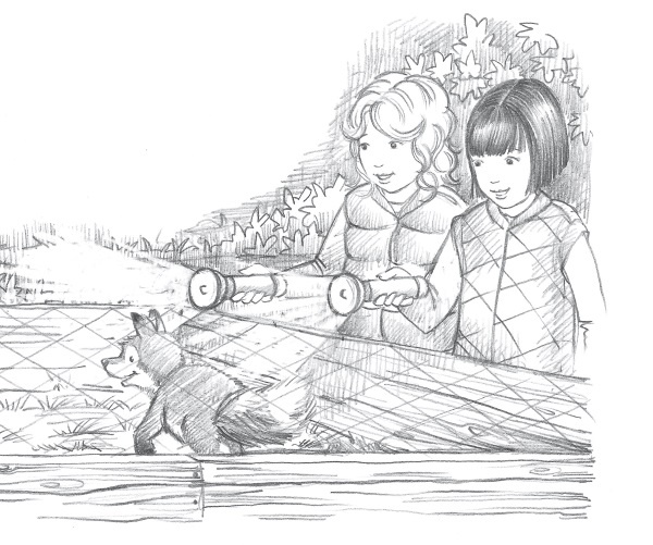 Иллюстрация к книге — Лисичка Тыковка, или Лунный камень [i_006.jpg]