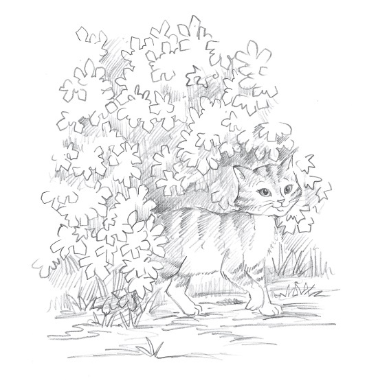 Иллюстрация к книге — Лисичка Тыковка, или Лунный камень [i_007.jpg]