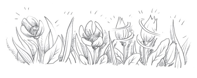 Иллюстрация к книге — Лисичка Тыковка, или Лунный камень [i_009.jpg]