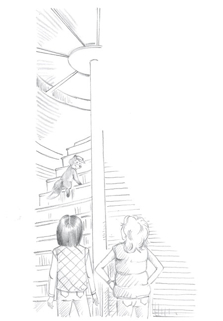 Иллюстрация к книге — Лисичка Тыковка, или Лунный камень [i_014.jpg]