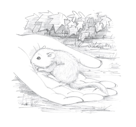 Иллюстрация к книге — Лисичка Тыковка, или Лунный камень [i_030.jpg]