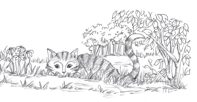 Иллюстрация к книге — Лисичка Тыковка, или Лунный камень [i_050.jpg]