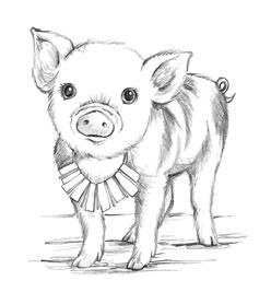 Иллюстрация к книге — Свинка Милли, или Зеркальный лабиринт [i_017.jpg]