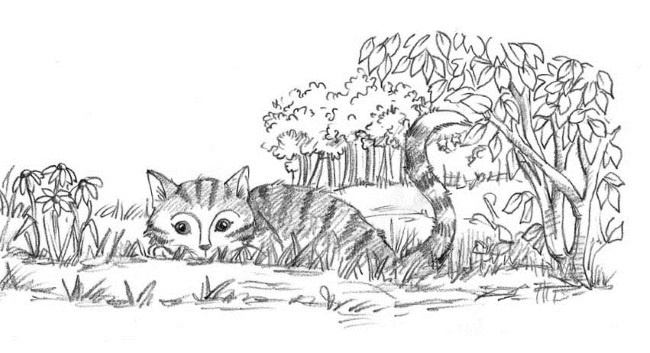 Иллюстрация к книге — Свинка Милли, или Зеркальный лабиринт [i_050.jpg]