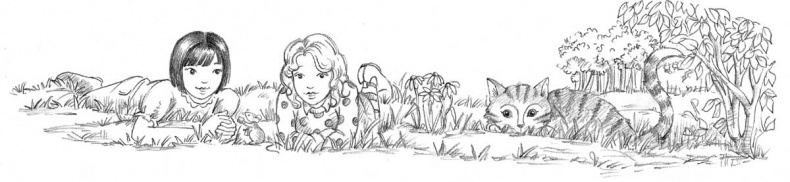 Иллюстрация к книге — Бобрёнок Фиби, или Сбежавший сапфир [block_001127120.jpg]