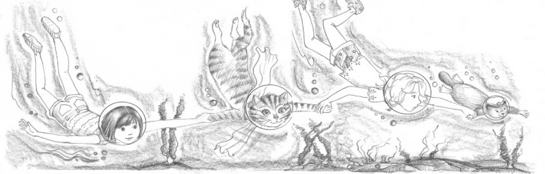 Иллюстрация к книге — Бобрёнок Фиби, или Сбежавший сапфир [block_00112760.jpg]