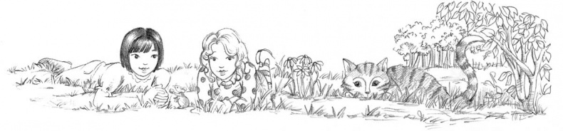 Иллюстрация к книге — Котёнок Кэти, или Сокровище песчаного замка [block_001128120.jpg]