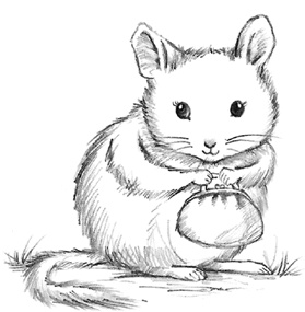 Иллюстрация к книге — Соня Фрейя, или Ягоды-смешинки [i_006.jpg]