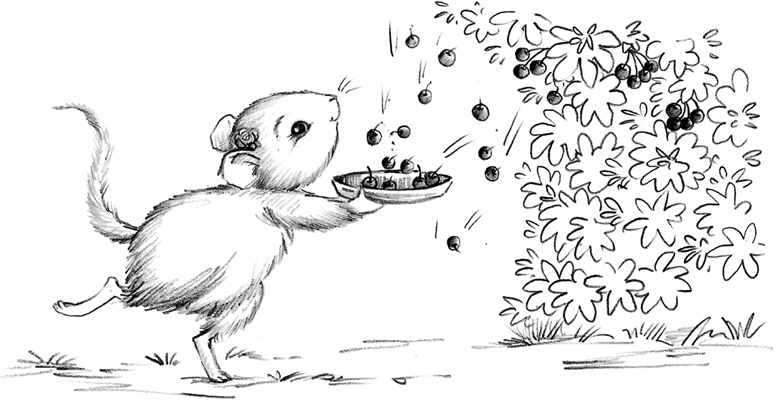 Иллюстрация к книге — Соня Фрейя, или Ягоды-смешинки [i_025.jpg]