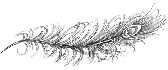 Иллюстрация к книге — Соня Фрейя, или Ягоды-смешинки [i_029.jpg]