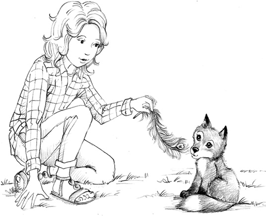 Иллюстрация к книге — Соня Фрейя, или Ягоды-смешинки [i_040.jpg]