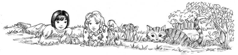 Иллюстрация к книге — Соня Фрейя, или Ягоды-смешинки [i_044.jpg]