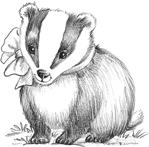 Иллюстрация к книге — Барсучонок Лотти, или Потерянный сон [i_004.jpg]