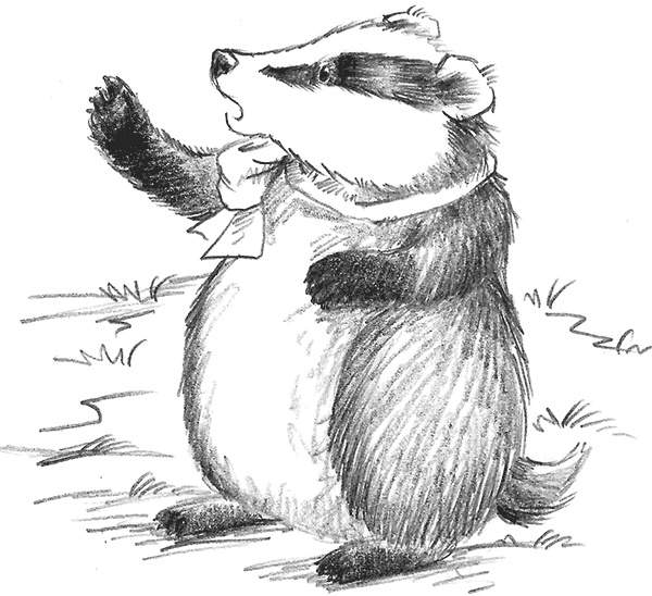 Иллюстрация к книге — Барсучонок Лотти, или Потерянный сон [i_015.jpg]