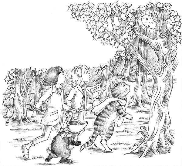 Иллюстрация к книге — Барсучонок Лотти, или Потерянный сон [i_024.jpg]