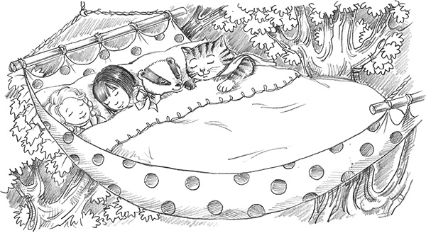 Иллюстрация к книге — Барсучонок Лотти, или Потерянный сон [i_047.jpg]
