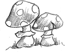 Иллюстрация к книге — Барсучонок Лотти, или Потерянный сон [i_048.jpg]