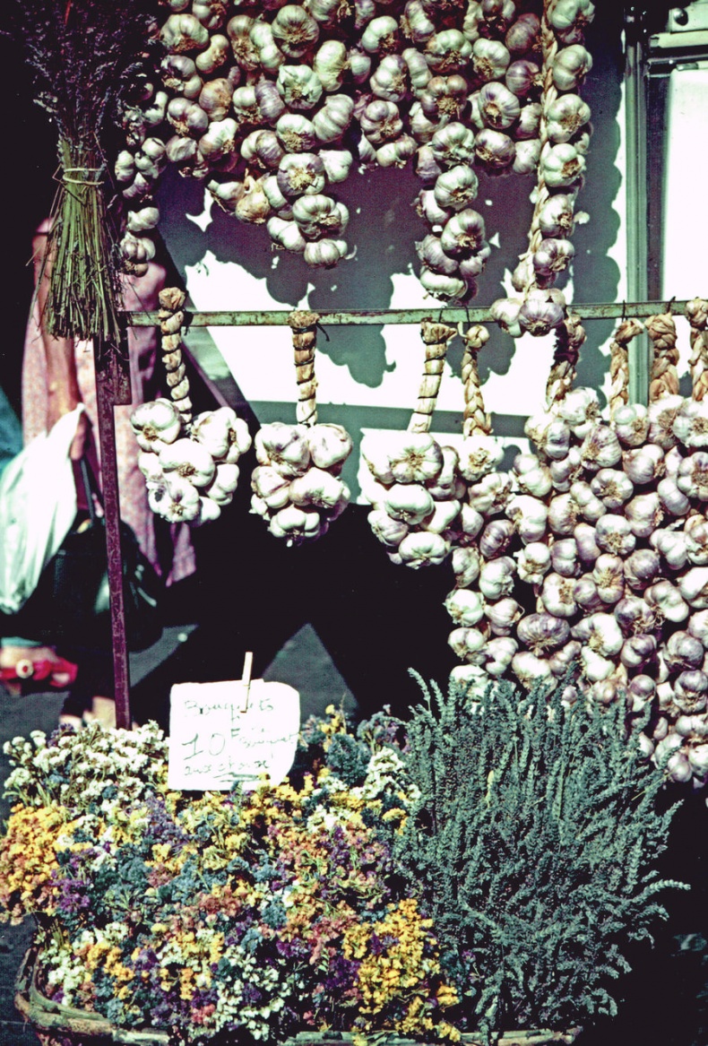 Иллюстрация к книге — Мои двадцать пять лет в Провансе [i_031.jpg]