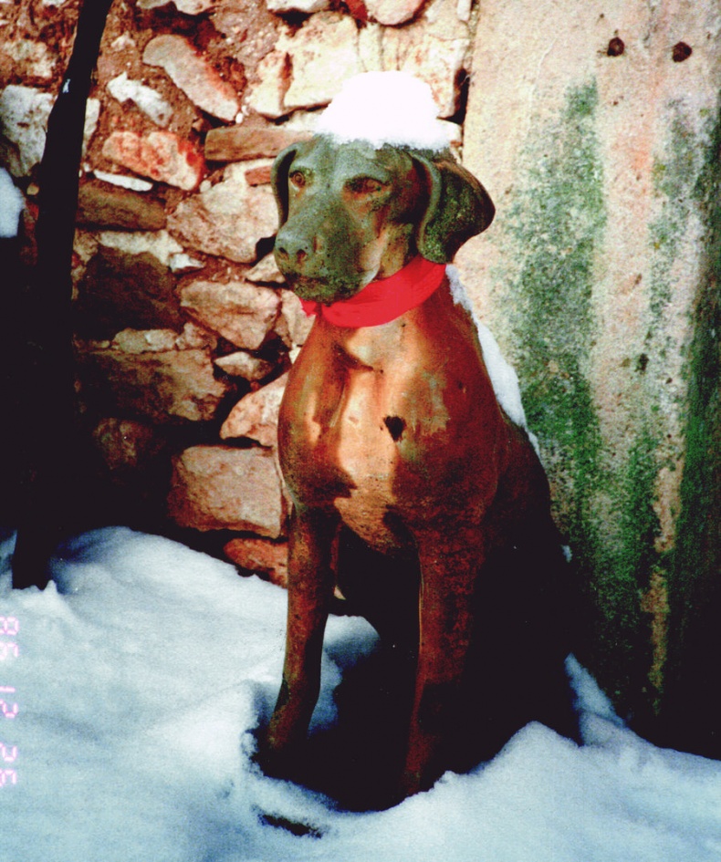 Иллюстрация к книге — Мои двадцать пять лет в Провансе [i_037.jpg]