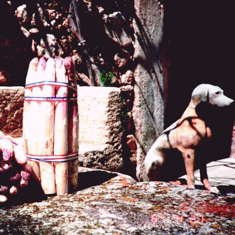 Иллюстрация к книге — Мои двадцать пять лет в Провансе [i_040.jpg]