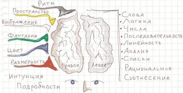 Иллюстрация к книге — Тайм-менеджмент по помидору. Как концентрироваться на одном деле хотя бы 25 минут  [image25.jpg]