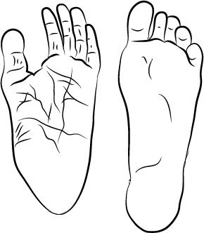 Иллюстрация к книге — Невероятная случайность бытия. Эволюция и рождение человека [i_080.jpg]