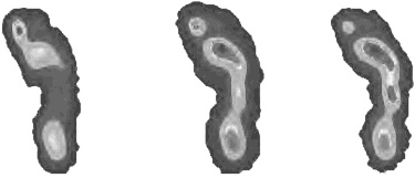 Иллюстрация к книге — Невероятная случайность бытия. Эволюция и рождение человека [i_081.jpg]