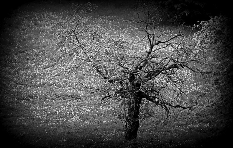 Иллюстрация к книге — Все сказки старого Вильнюса. Начало [i_010.jpg]