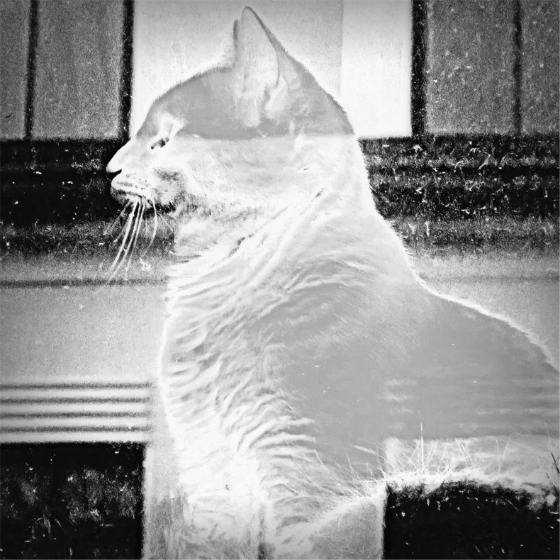 Иллюстрация к книге — Все сказки старого Вильнюса. Начало [i_012.jpg]