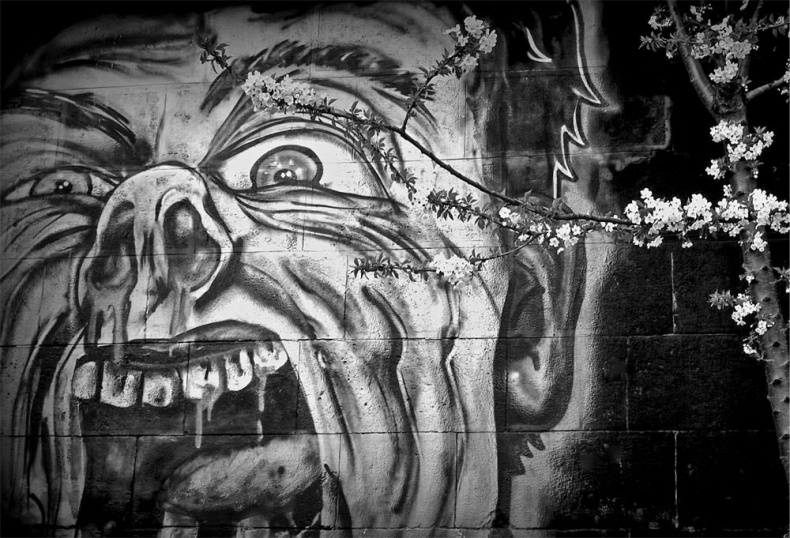 Иллюстрация к книге — Все сказки старого Вильнюса. Начало [i_019.jpg]