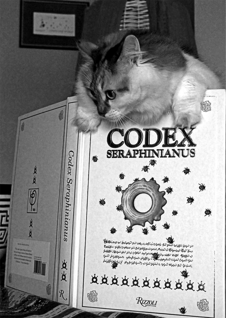 Иллюстрация к книге — Все сказки старого Вильнюса. Начало [i_038.jpg]