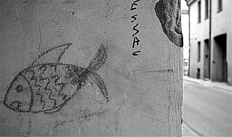 Иллюстрация к книге — Все сказки старого Вильнюса. Начало [i_043.jpg]