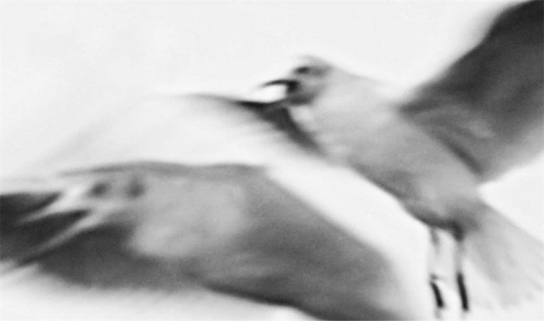 Иллюстрация к книге — Все сказки старого Вильнюса. Начало [i_045.jpg]