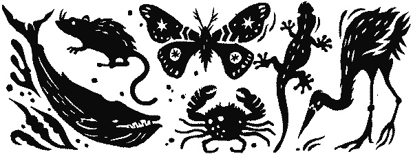 Иллюстрация к книге — Краткая история науки [i_020.jpg]