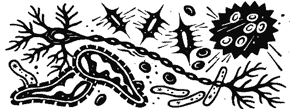 Иллюстрация к книге — Краткая история науки [i_027.jpg]