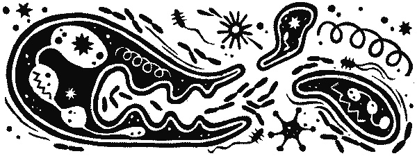 Иллюстрация к книге — Краткая история науки [i_028.jpg]