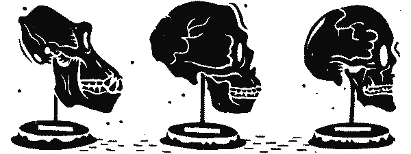 Иллюстрация к книге — Краткая история науки [i_036.jpg]