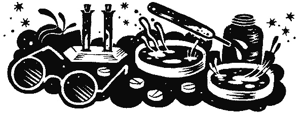 Иллюстрация к книге — Краткая история науки [i_037.jpg]