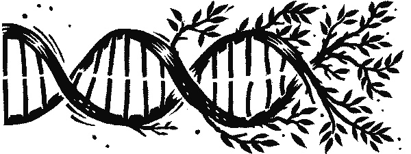 Иллюстрация к книге — Краткая история науки [i_038.jpg]