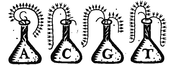 Иллюстрация к книге — Краткая история науки [i_039.jpg]