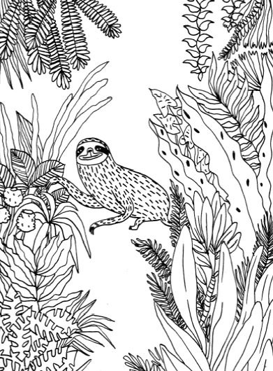 Иллюстрация к книге — Живи как ленивец. Уроки целительного пофигизма от самых счастливых созданий на Земле  [i_001.jpg]