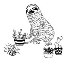 Иллюстрация к книге — Живи как ленивец. Уроки целительного пофигизма от самых счастливых созданий на Земле  [i_014.jpg]