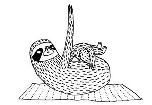 Иллюстрация к книге — Живи как ленивец. Уроки целительного пофигизма от самых счастливых созданий на Земле  [i_027.jpg]