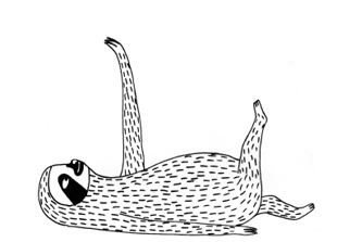 Иллюстрация к книге — Живи как ленивец. Уроки целительного пофигизма от самых счастливых созданий на Земле  [i_028.jpg]